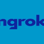Ngrok Api Gateway Logo