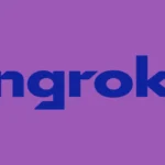Ngrok Api Gateway Logo
