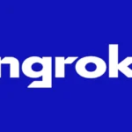 Ngrok Api Gateway Logo