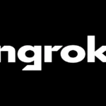 Ngrok Api Gateway Logo