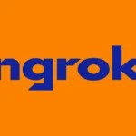 Ngrok Api Gateway Logo