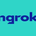 Ngrok Api Gateway Logo