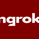Ngrok Api Gateway Logo