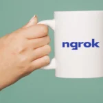 Ngrok Api Gateway Logo