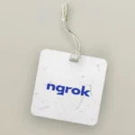 Ngrok Api Gateway Logo