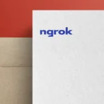 Ngrok Api Gateway Logo