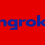 Ngrok Api Gateway Logo