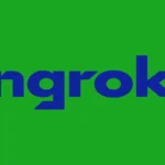 Ngrok Api Gateway Logo