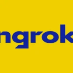 Ngrok Api Gateway Logo