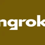 Ngrok Api Gateway Logo