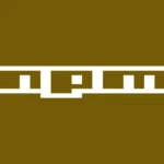 NPM JS Red Logo