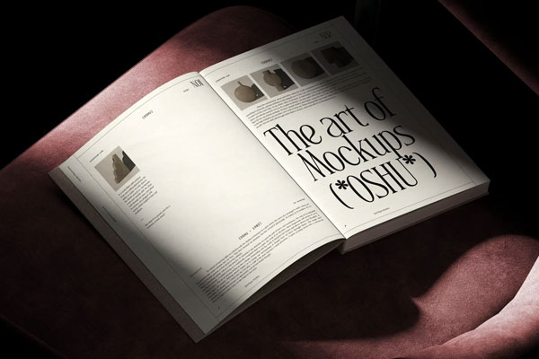 Open Book Mockup on Velvet Chair