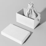 Open Box with Pouch Bag Mockup