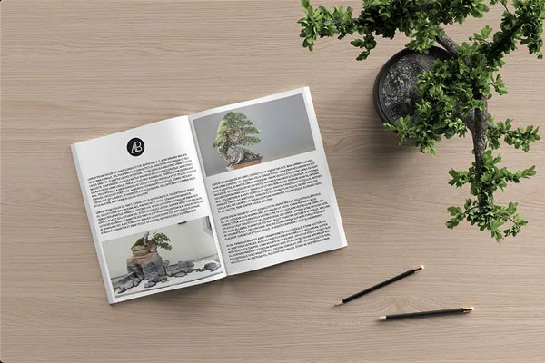 Open Catalog Magazine Beside Bonsai Tree and Pens Mockup