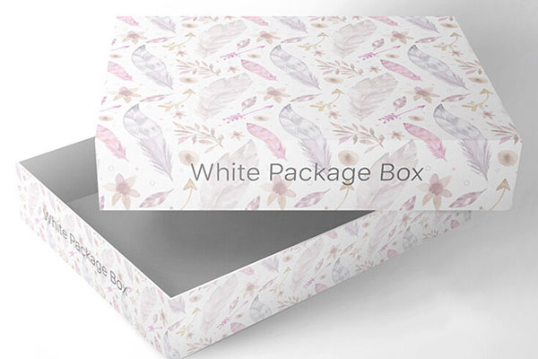 Opened Cardboard Horizontal Packaging Box Mockup