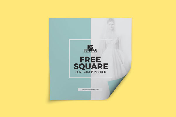 Overhead View of Square Curled Paper Mockup
