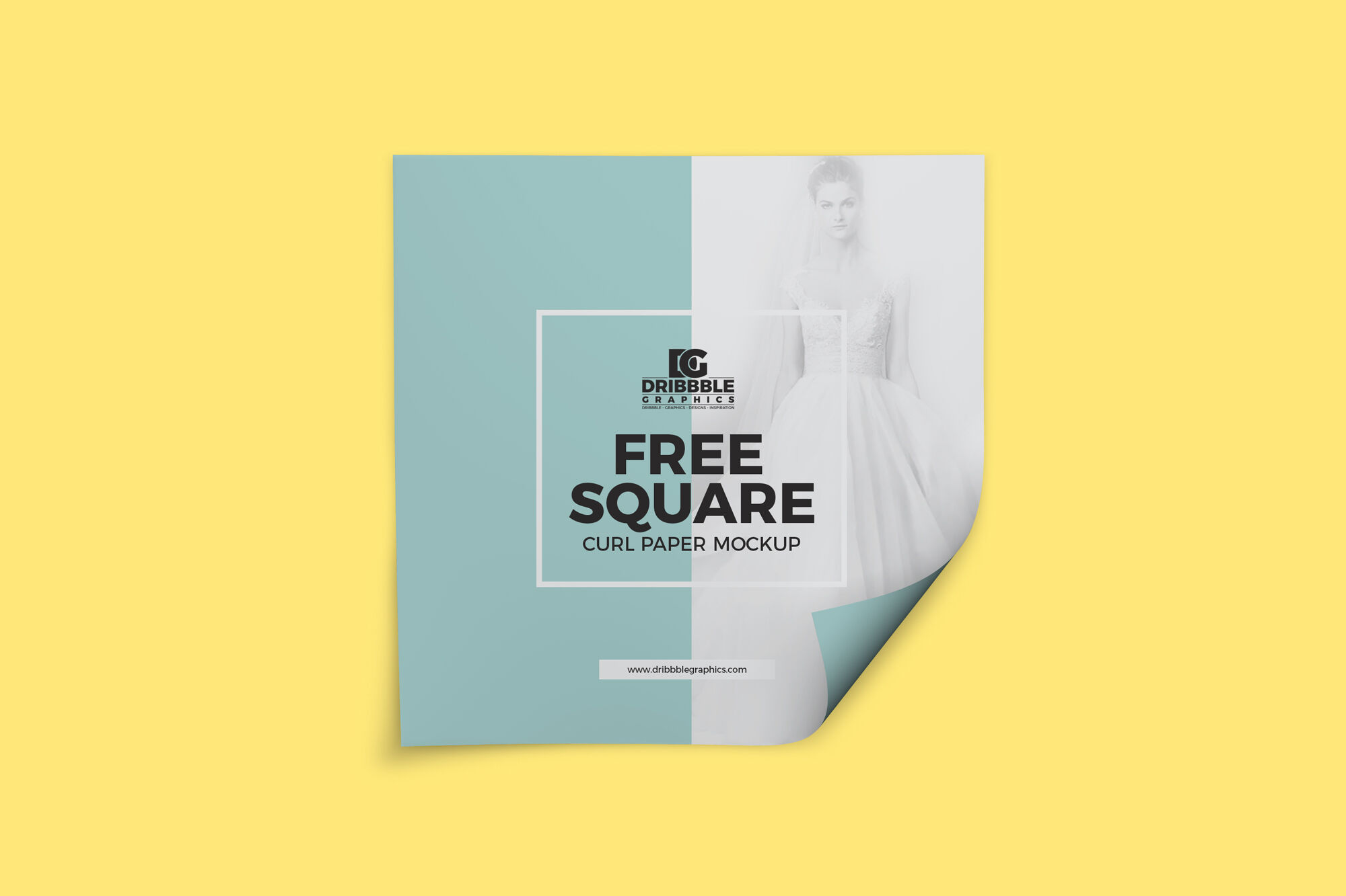 Overhead View of Square Curled Paper Mockup FREE PSD