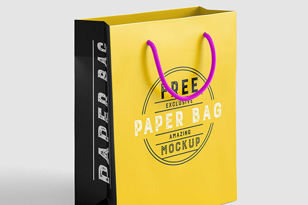 Two Standing Paper Bag Mockups