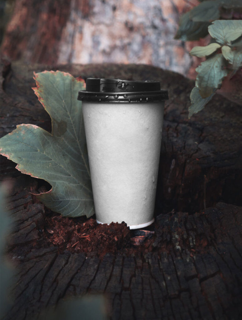 Paper Cup Mockup in Nature
