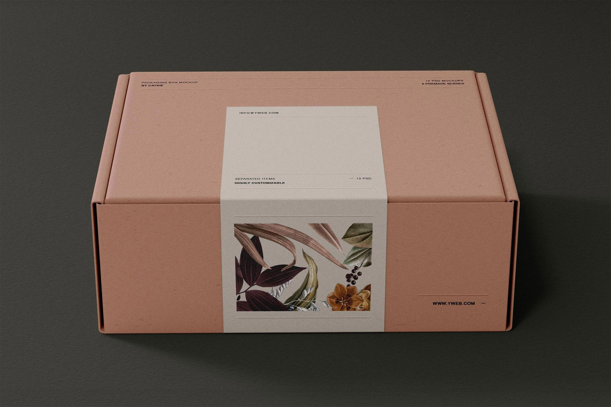 Free Pastel Shipping Box Mockup PSD Template