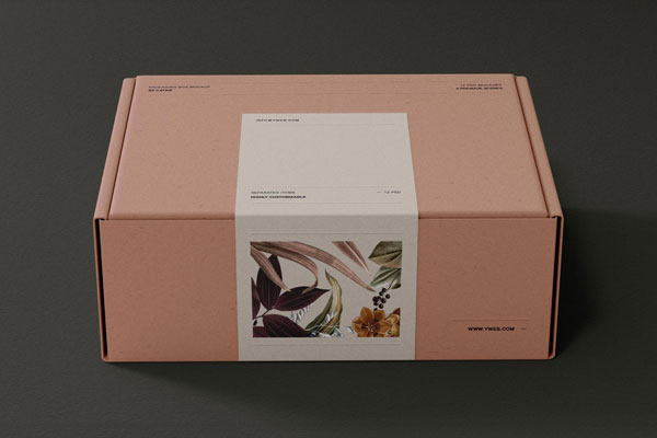 Pastel Shipping Box Mockup