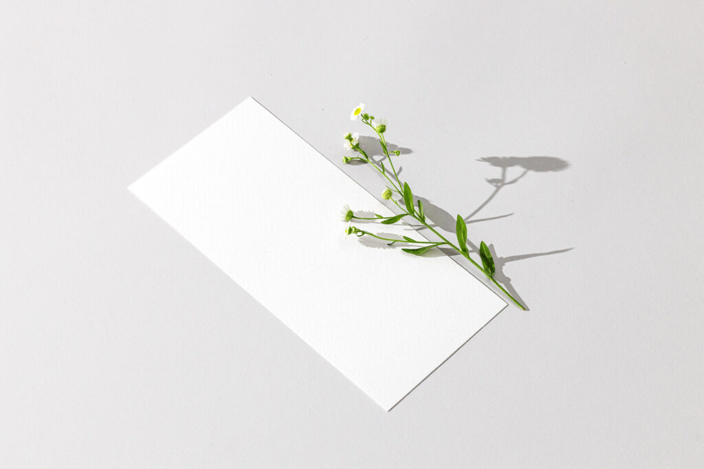 Perspective View DL-Size Flyer With Flower on Clean Surface Mockup