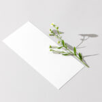 Perspective View DL-Size Flyer With Flower on Clean Surface Mockup