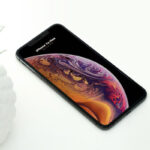 Perspective View iPhone XS Max on Floor Mockup with Plant