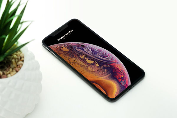 Perspective View iPhone XS Max on Floor Mockup with Plant