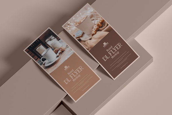 Perspective View Mockup of Two DL Size Flyers