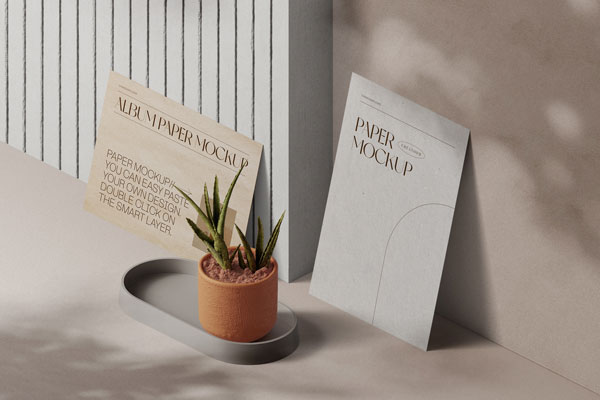 Perspective View of 2 Papers Mockups with Plant
