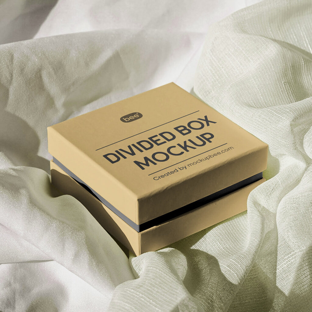 Perspective View of Divided Box Mockup