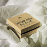 Perspective View of Divided Box Mockup