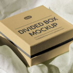 Perspective View of Divided Box Mockup