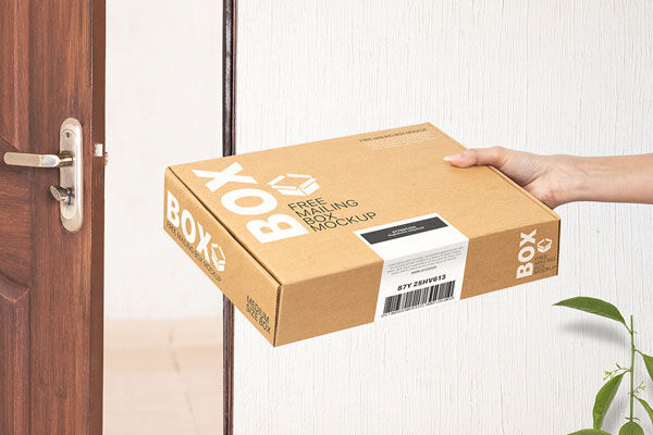 Perspective View of Hand Holding Mailing Box Mockup