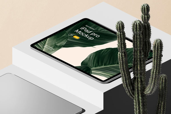 Perspective View of iPad Pro Mockup with Cactus