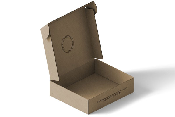 Perspective View of Open Carton Box Mockup