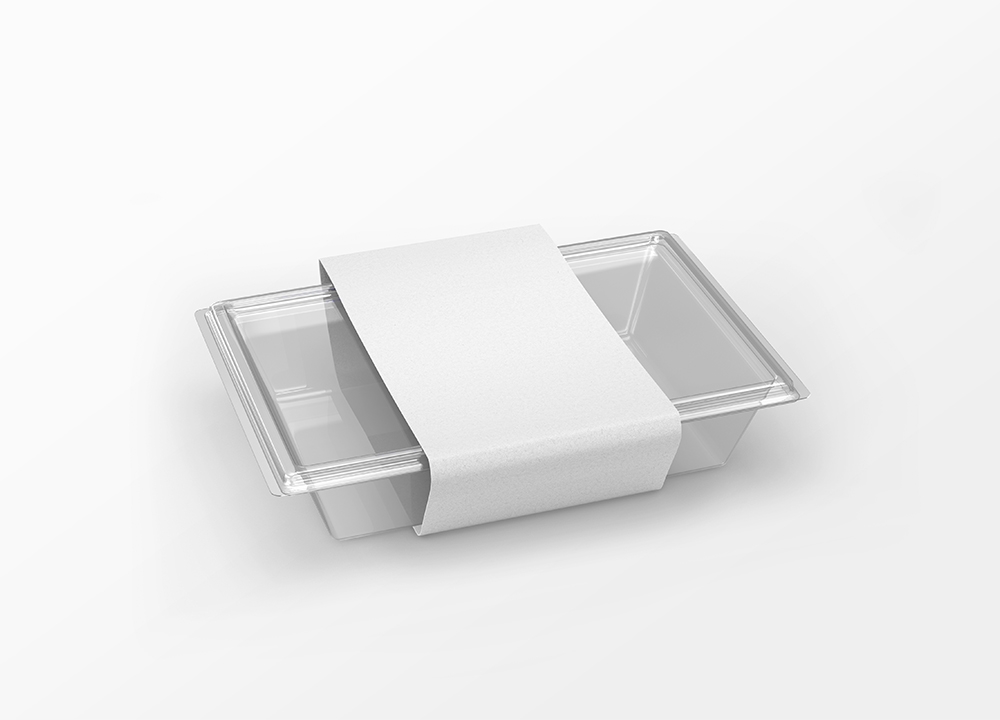 Perspective View of Plastic Food Packaging Box Mockup