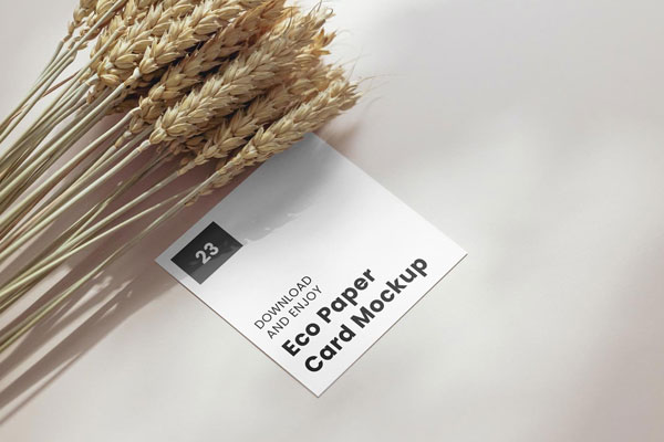 Perspective View of Square Card Mockup with Wheat