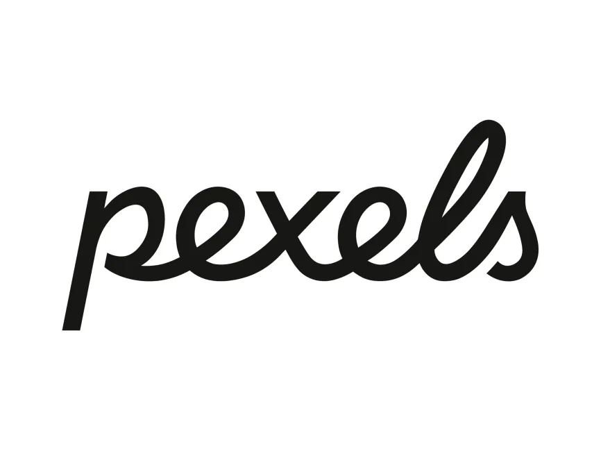 Pexels New 2025 Logo