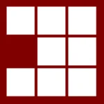 Pnpm Manager Logo