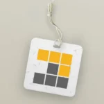 Pnpm Manager Logo