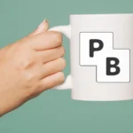 PocketBase Backend Logo