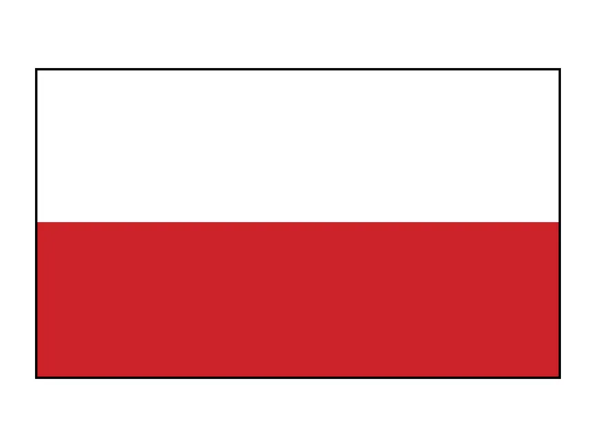 POLAND Flag Logo