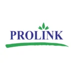Prolink Development Logo
