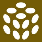 Pulumi Icon Logo