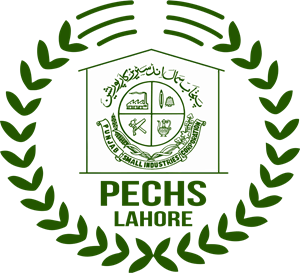 PUNJAB SMALL INDUSTRIES CORPORATION