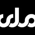 Radio Television Afghanistan 2010 Logo