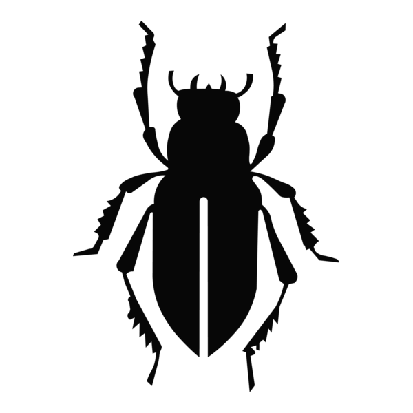 Scarabeo