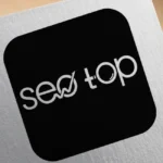 Seo Top Logo